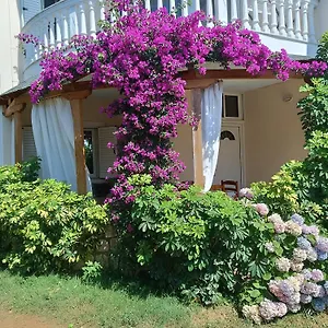 https://oruci-apartments.albaniahotels.org